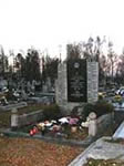 Mogiła z prochami pomordowanych w obozach koncentracyjnych - cmentarz grzebalny w Drelowie